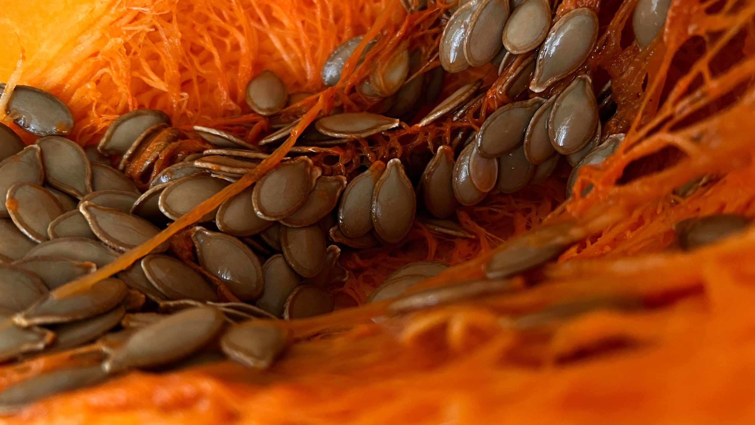 Gros plan détaillé des graines de courge nichées dans la chair orange vibrant de la courge.