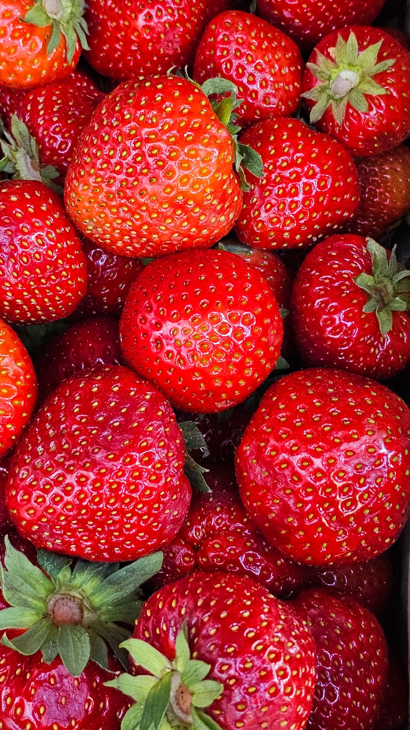 Comment utiliser les fruits commençant par S
