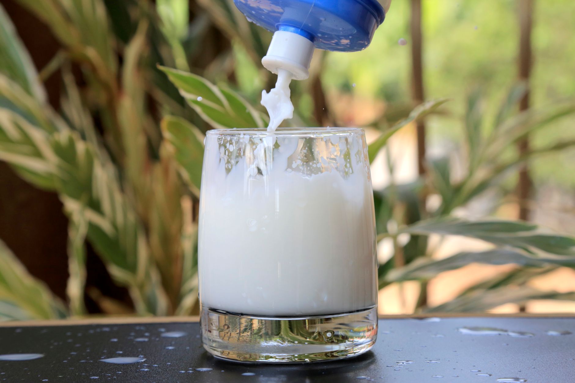 Lait versé dans un verre