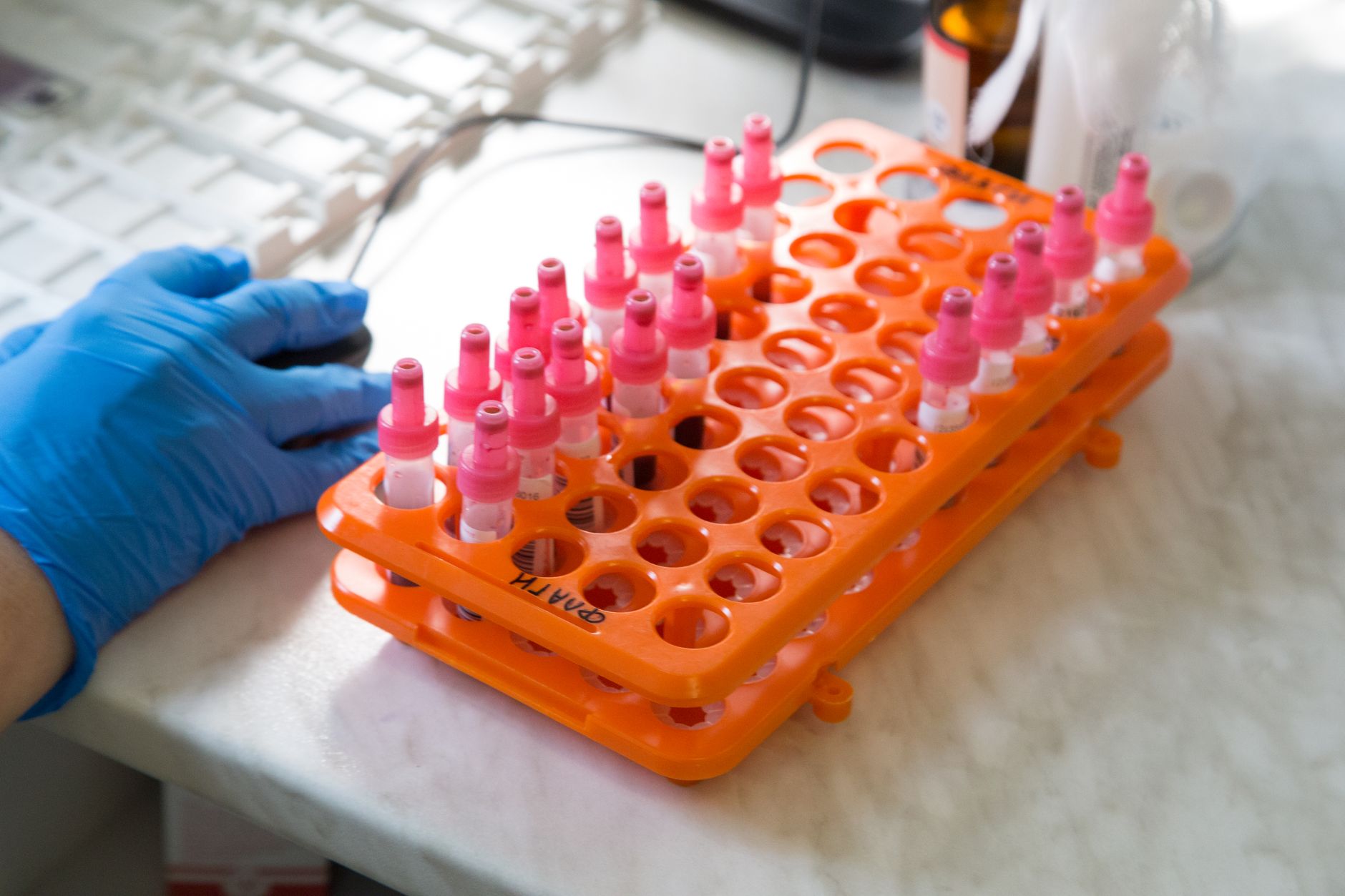Tubes à essai dans un support en laboratoire